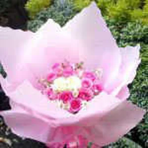 CDE – HB 008 – Hand Bouquet